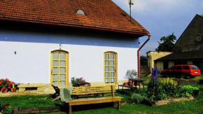 Dvůr v Borovné, Borovná